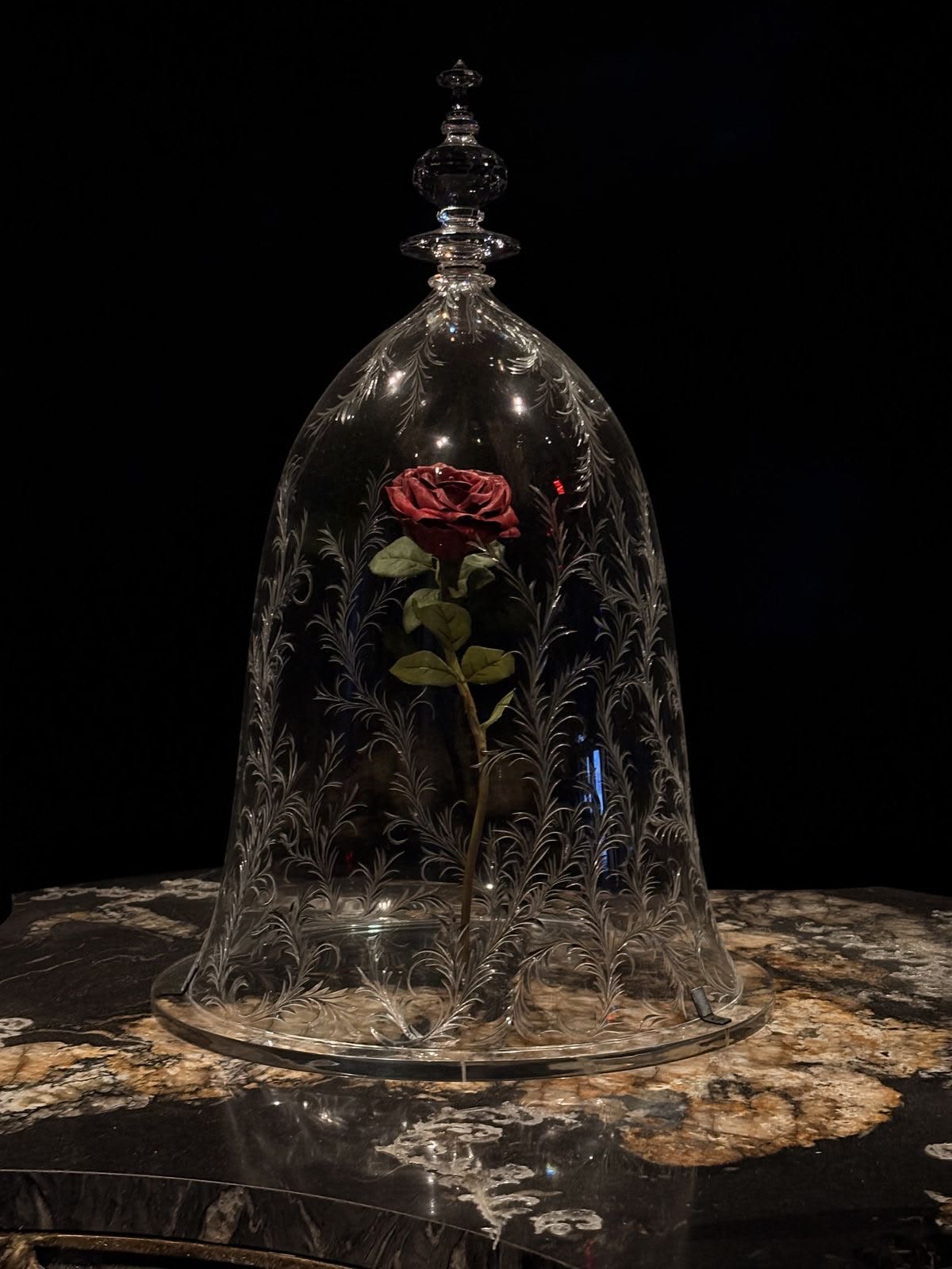 Rosa encantada bajo una campana de cristal